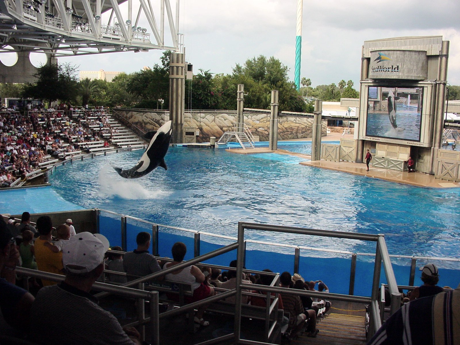 Explorando a Diversão nos Parques da SeaWorld em Orlando