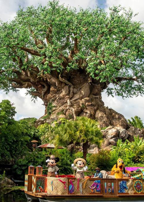 Animal Kingdom