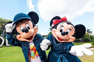 Dicas e Suporte Disney