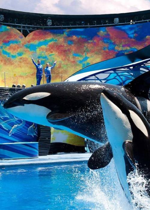 SeaWorld